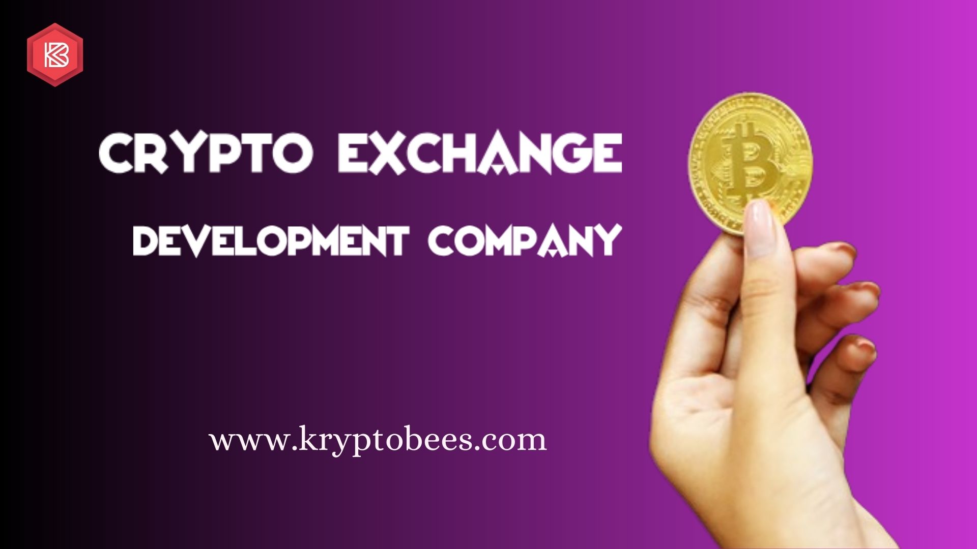 What are the Primary Technical Requirements for Setting up a Crypto Exchange Platform?