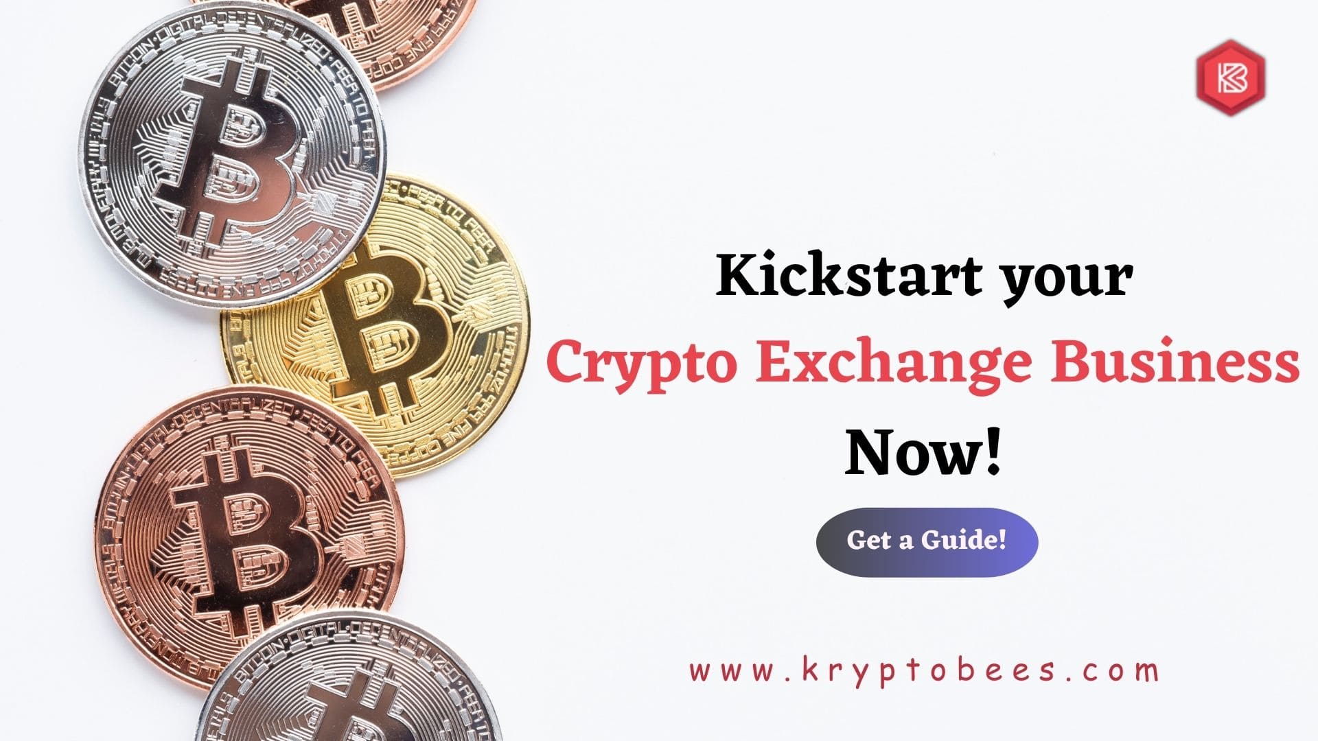 Building a successful crypto exchange platform with Kryptobees: