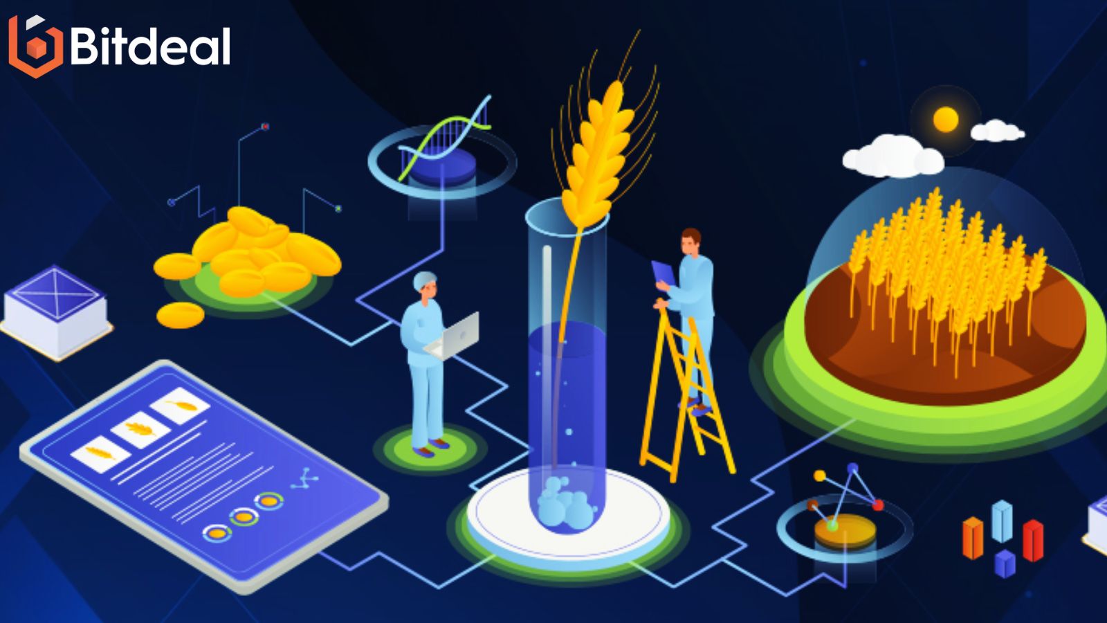 How Does A DeFi Yield Farming Platform Work?