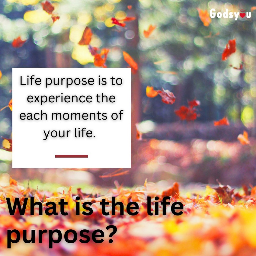 What is the life purpose?