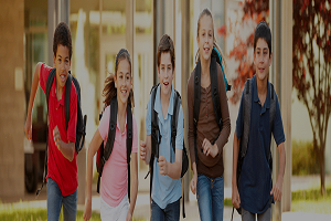 Cheap Essay Writing Service