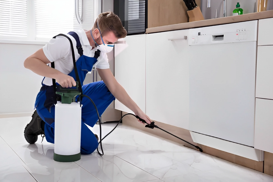 The Importance of Regular Pest Control for Mumbai Homes and Businesses