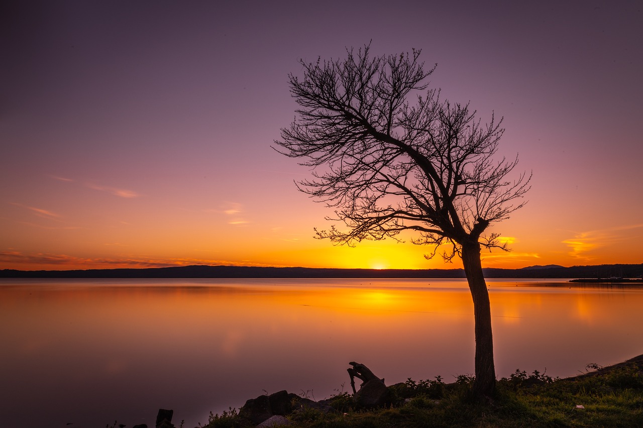 Discover the benefits of rural tourism for a vacation focused on relaxation and contact with nature.
