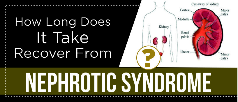 What Is The Survival Rate Of Nephrotic Syndrome?