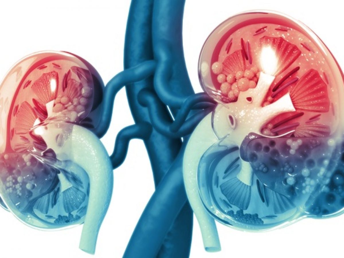 Is the protein in urine severe?