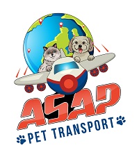 ASAP Pet Transport: Safe and comfortable pet transportation services