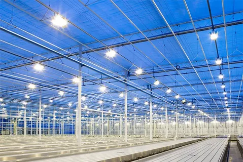 Growth Prospects: Analyzing Trends in the Industrial and Commercial LED Lighting Industry