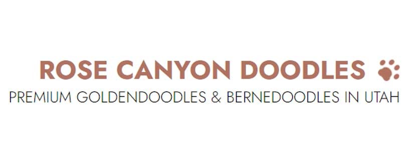 Unleash Happiness: Experience the Joy of Goldendoodles in Utah with Rose Canyon Doodles
