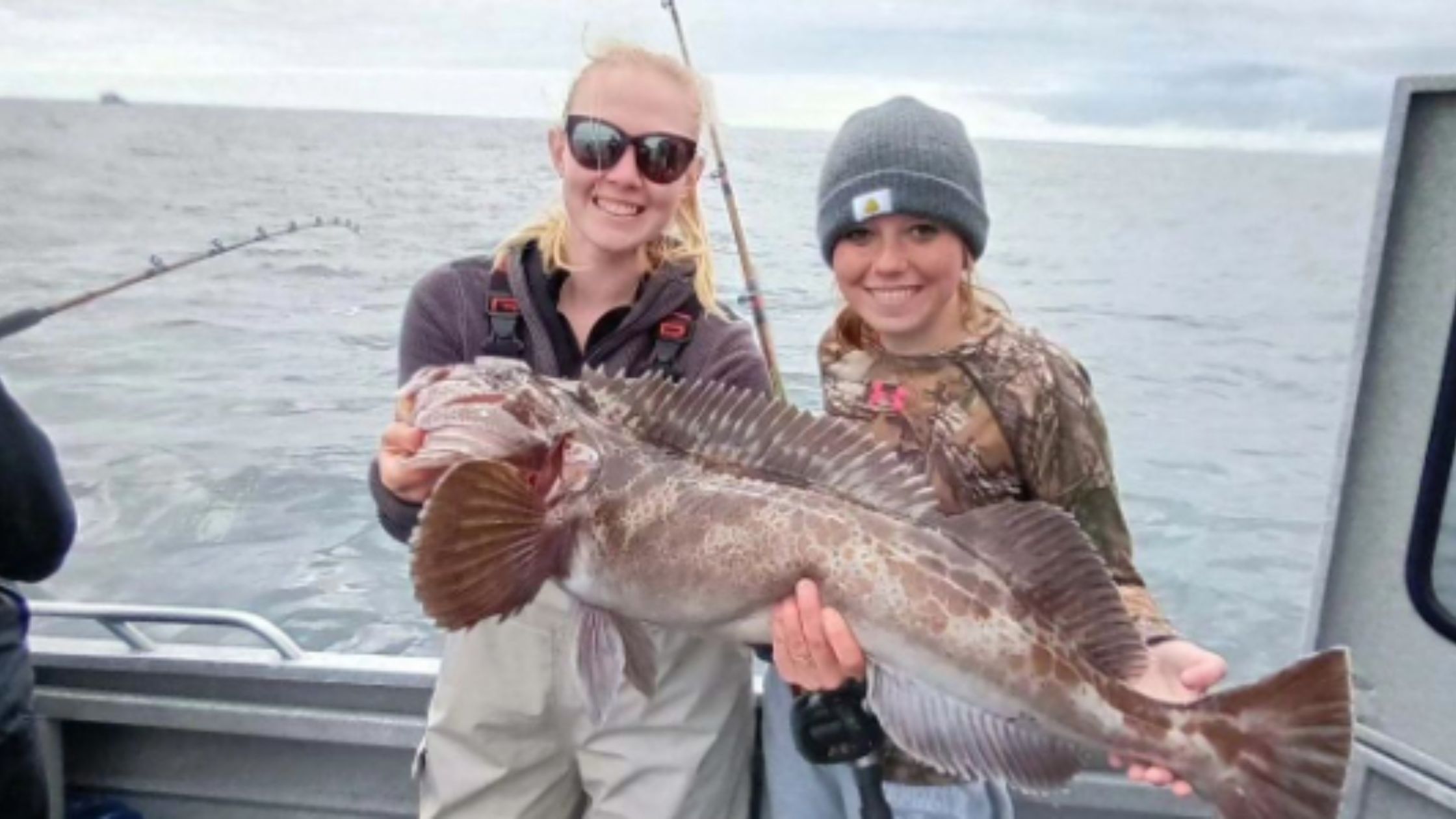 Exploring Charters in Seward, Alaska: Your Gateway to an Unforgettable Adventure
