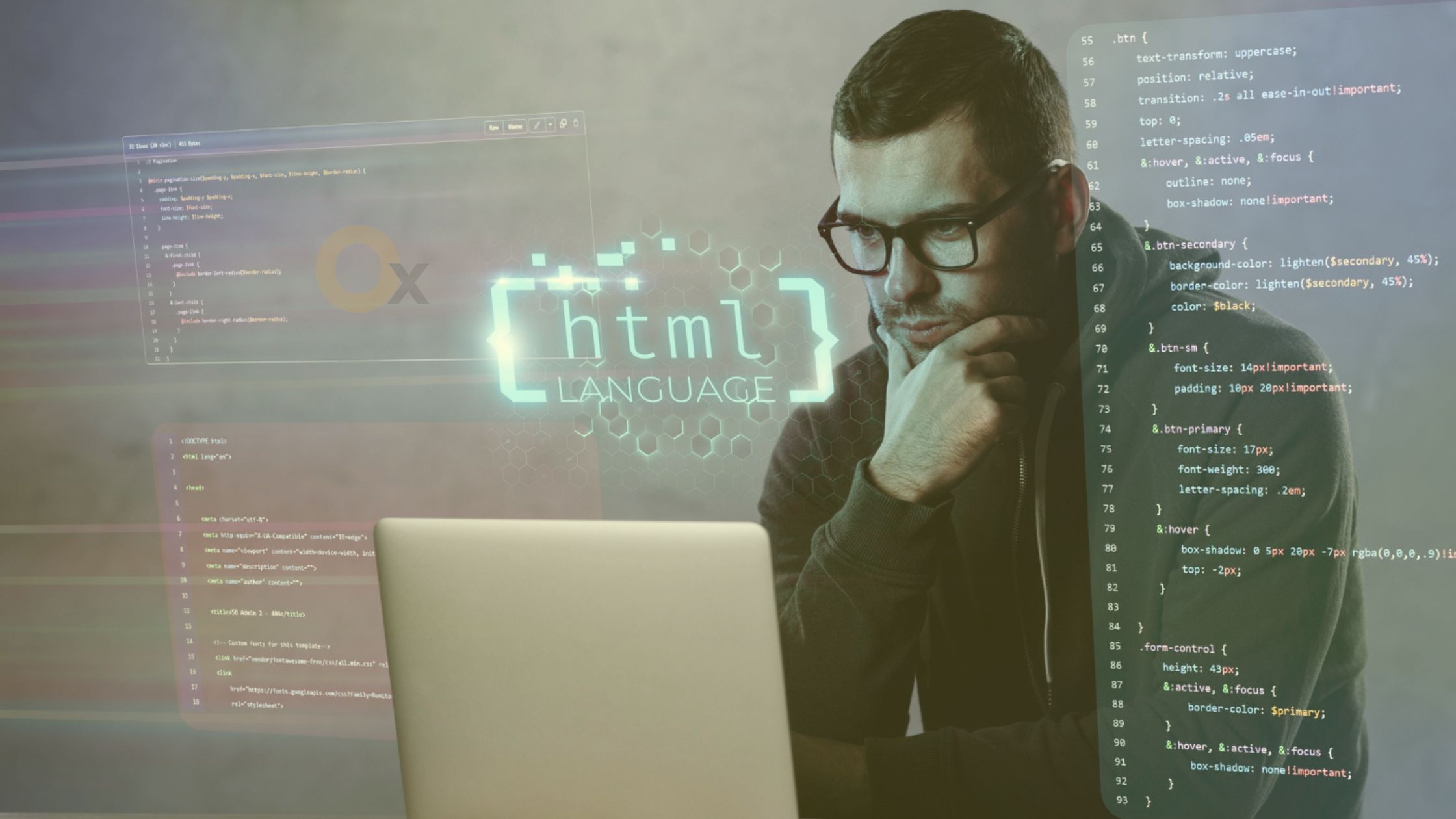 Website Development Services in Delhi - iBrandox