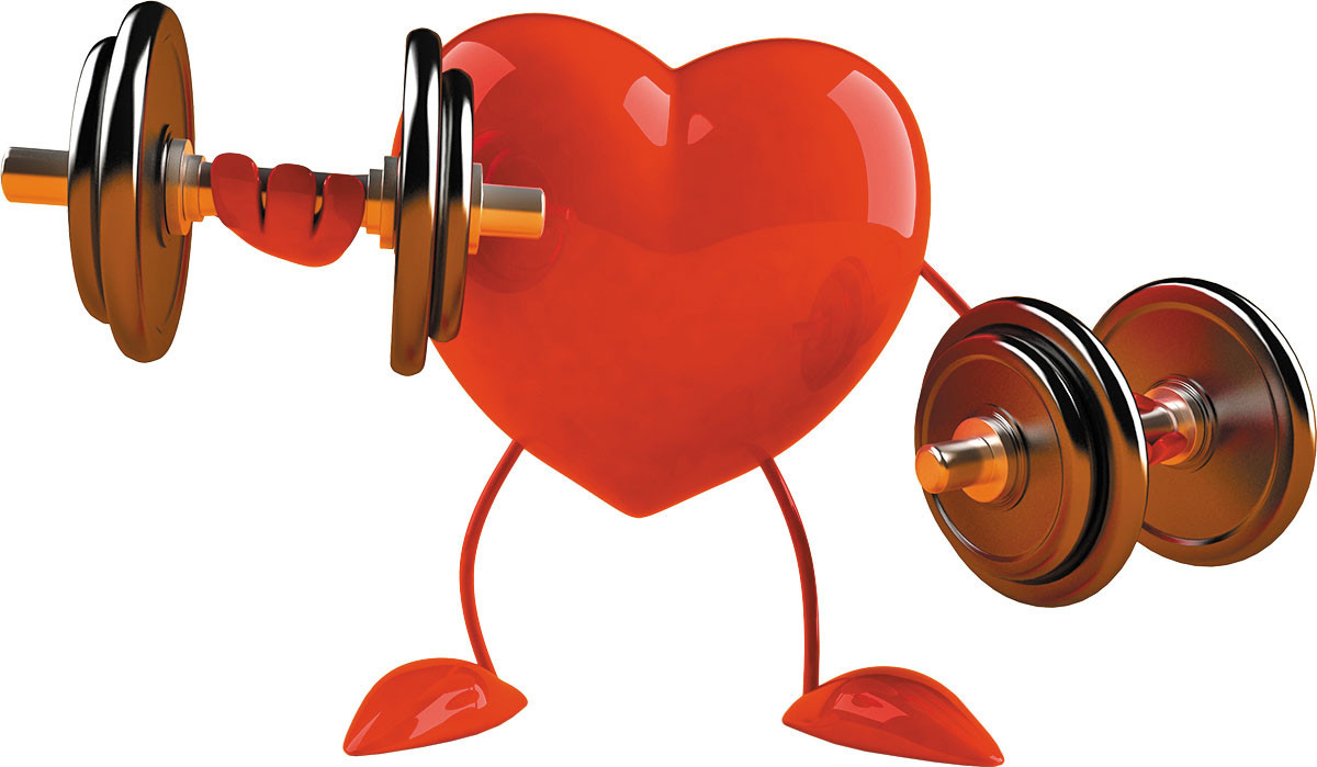 Best Diet Plan for Heart Health: Embracing a Healthy Lifestyle with Fitmorphs