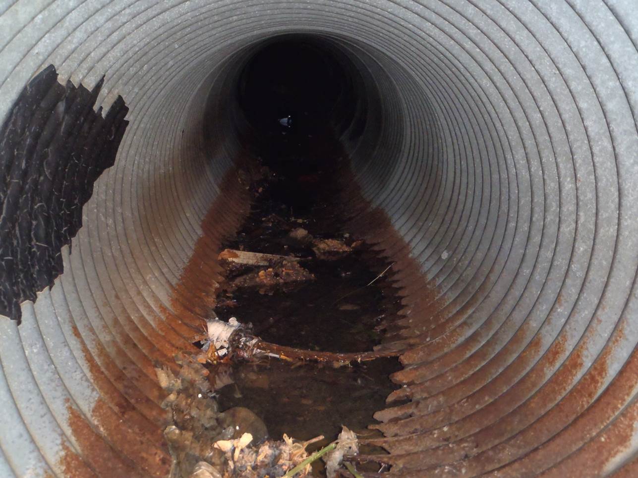  Signs You Need Professional Drain Cleaning Services: Maintaining a Healthy Plumbing System