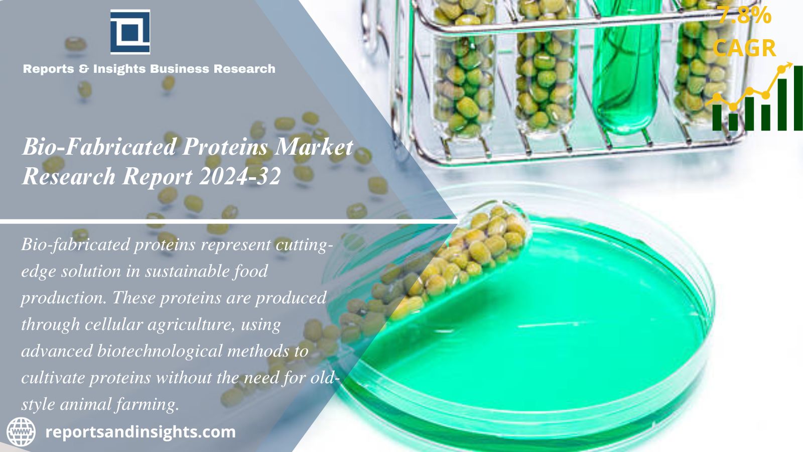 Bio-Fabricated Proteins Market Size, Share | Forecast 2024-32