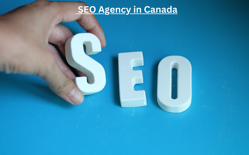 Choosing the Right SEO Agency in Canada: Tips and Considerations