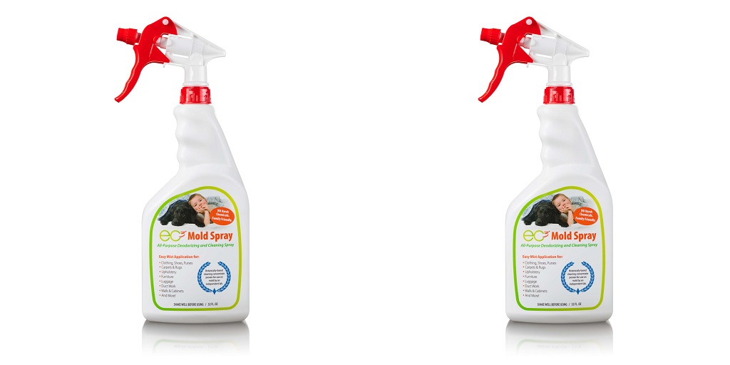 Different Ways to Use Mold Spray