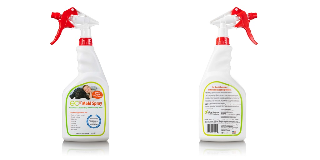 Mold in the Kitchen: What Causes It and How Do You Address It?