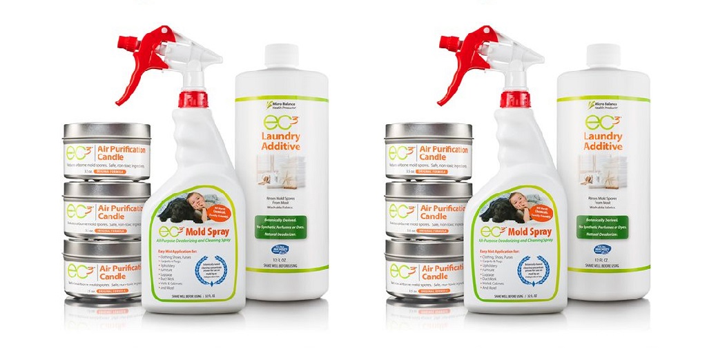 Is There Mold in Your Attic? How to Know for Sure