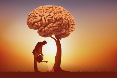 Enhance Your Mind: A Guide to Effective Cognitive Enhancers