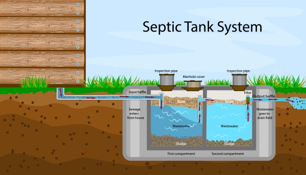 7 Warning Signs Your Septic Tank Needs Immediate Attention