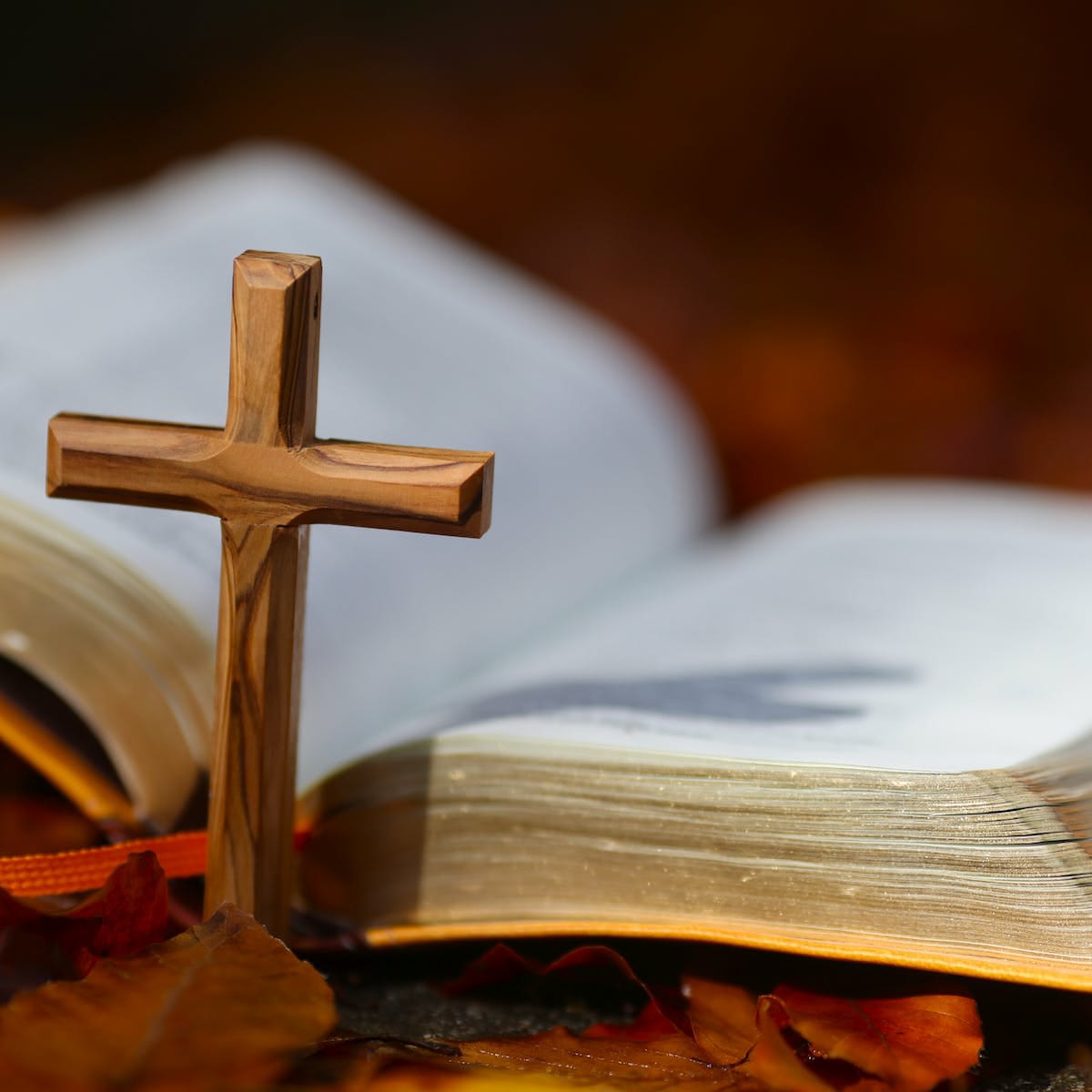7 Remarkable Biblical Figures Who Were Preppers at Heart