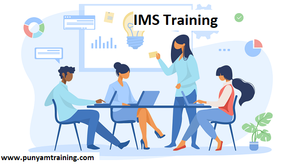 What are the Key Advantages of an Integrated Management System 