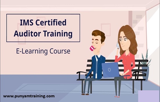 Key Principles and Structure of Integrated Management System