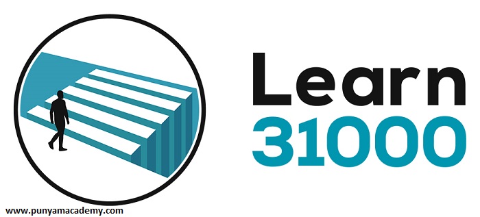 What Guidelines Does ISO 31000 Follow?