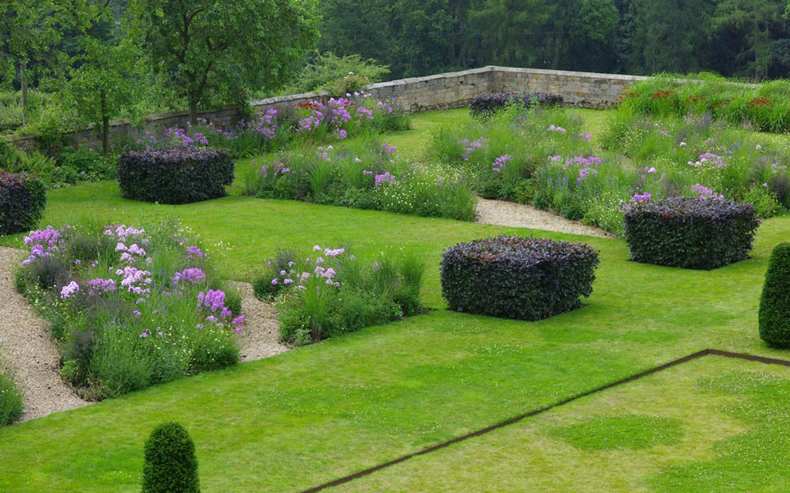 Simple Guide to Selecting the Ideal Online Plants for Your House