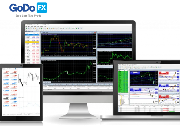 Useful tips for choosing the right trading company