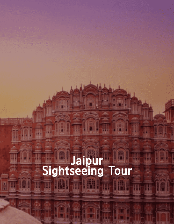 A Taste of Rajasthan: The Best Jaipur Tour Package for Culture Vultures