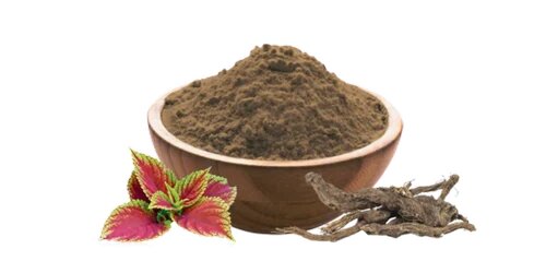 Coleus Extract: A Herbal Remedy for Improved Metabolism and Fat Loss!!