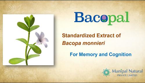 Manipal Natural - Bacopa Monnieri