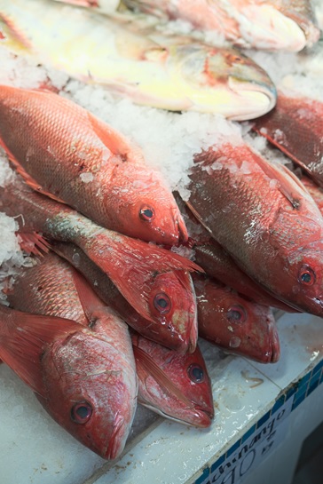 How To Freeze and Defrost Fish Safely