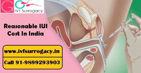 Searching for the Reasonable IUI cost in India 2021