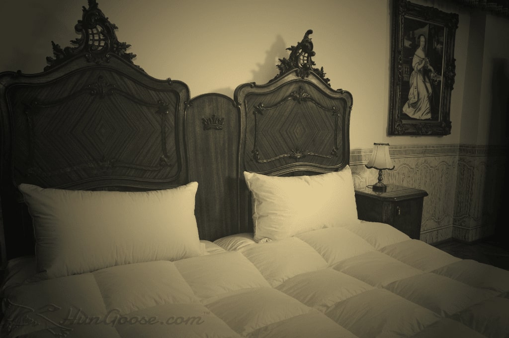 Enjoy an Ultimate Night’s Sleep with a Hungarian Goose Down Comforter