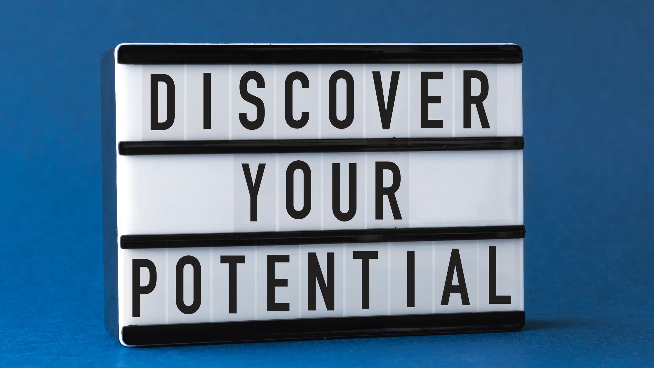 Unleash the Creative Potential of Your Website with The Digital Geek
