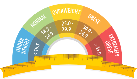 A Beginner's Guide to Calculating BMI: Understanding the Basics in a Friendly Manner