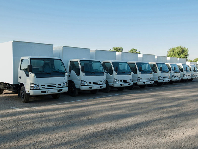 Data-Driven Excellence: Mastering Fleet Operations in the UAE