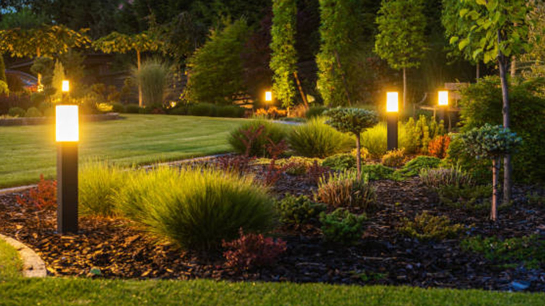 Is Your Outdoor Space Missing the Magic of Professional Landscape Lighting?