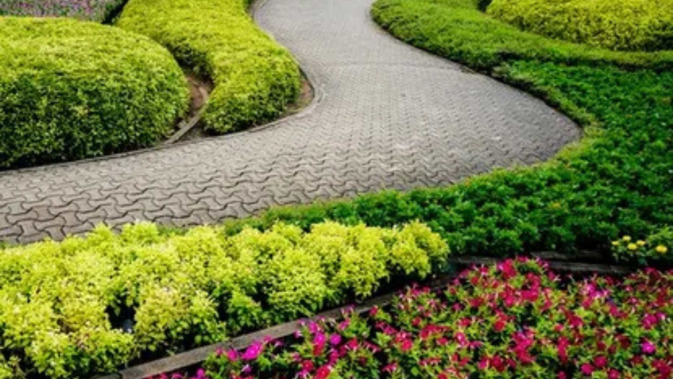 Green Spaces and Employee Wellness: The Landscaping Connection
