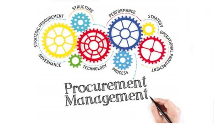 What are the choices available for organizing a procurement function?