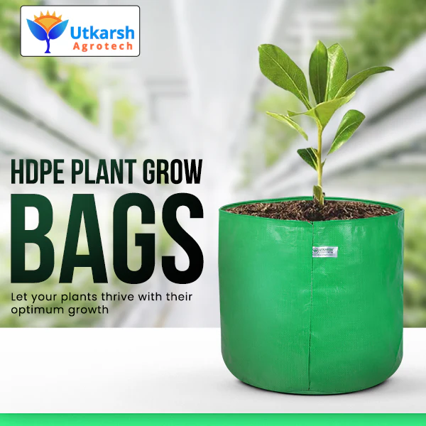 Everything You Should Know About Gardening with Grow Bags