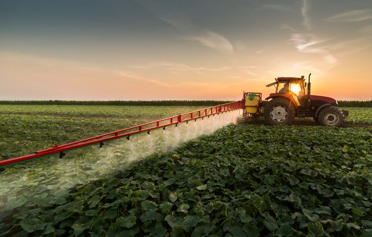 How to Use Pesticides and Insecticides for Plants Safely in Your Home Garden