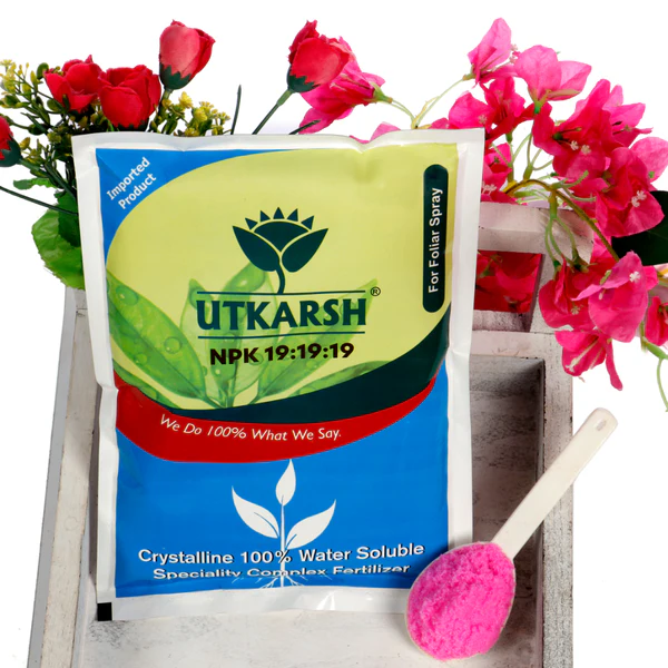 Explore the Role of Bio-fertilizers in Promoting Eco-Friendly Farming