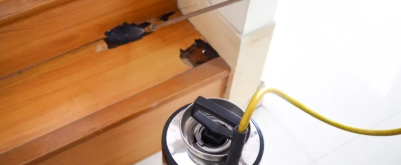 Termite Inspections Gold Coast