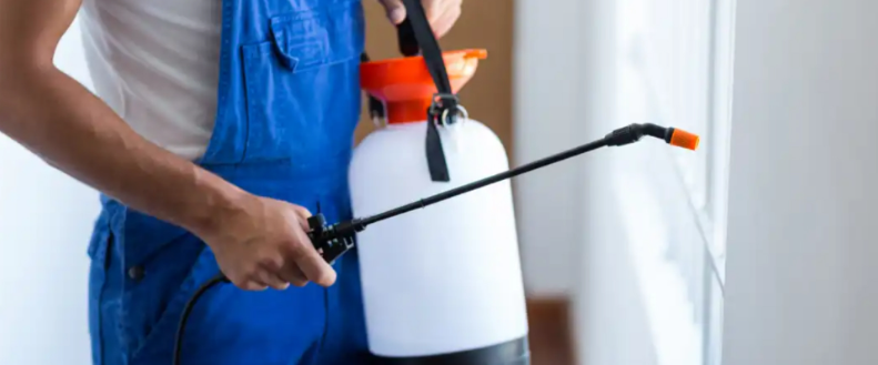 Pest Control Oxenford