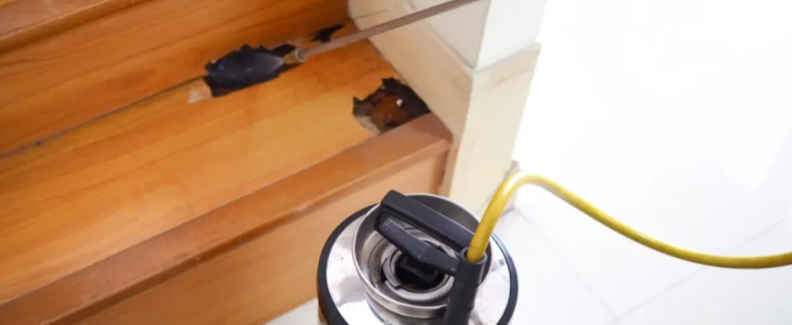 Termite Inspections Gold Coast