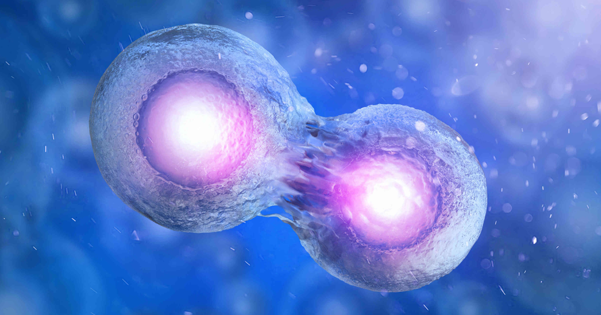 Allogeneic Stem Cell Transplantation Market Growth Accelerated By Increasing Prevalence Of Autoimmune And Oncology Diseases 