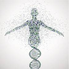 Genomic Biomarker Market to Reach US$ 4,396.6 Mn in 2023