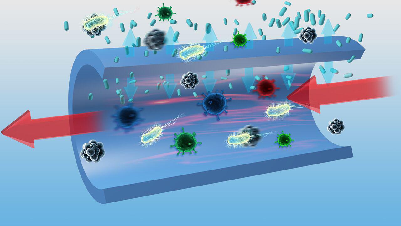 Antimicrobial Coatings Market To Reach US$ Market Value For 2023 Billion 